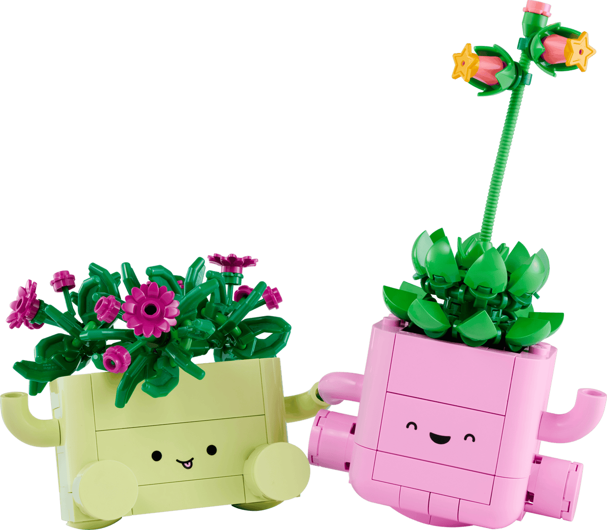 LEGO Botanicals: Rocking Plants